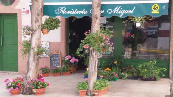 Floristería San Miguel