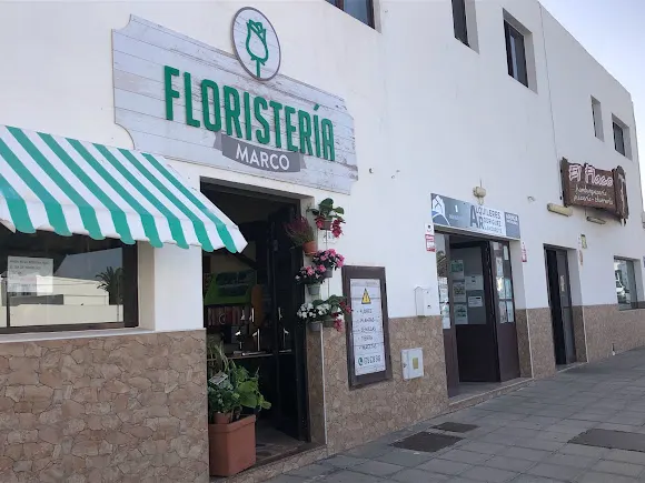 Floristería Marco - Floristería en Tinajo