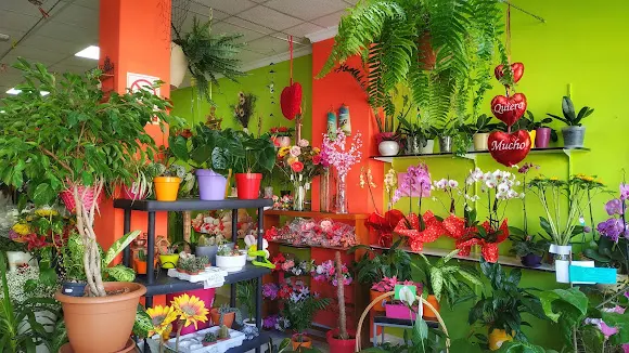 Floristería Tasaigo