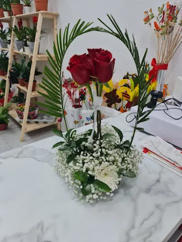 Floristeria Quintana - Telde