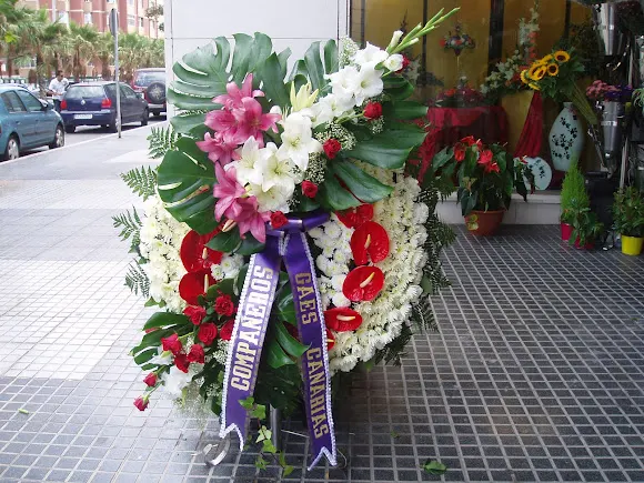 Floristeria y Boutique del Bonsái Javier Déniz
