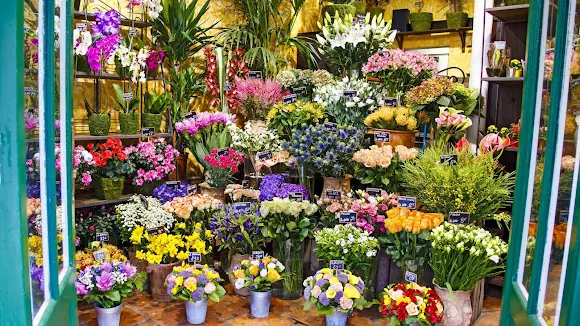 Floristería Miranda