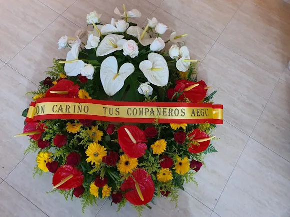 Novia Flor