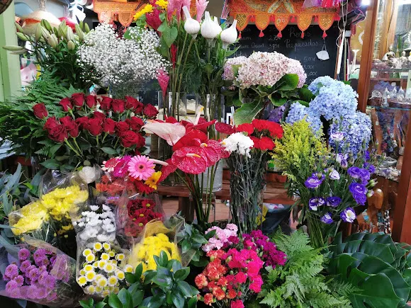 Floristería La Pagoda
