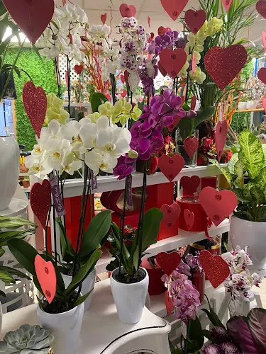 Floristería Chil · Maspalomas