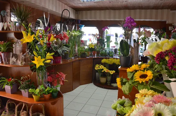 Ensalada de Flores S.L.U.