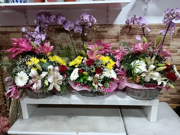 Floristería Arteaga