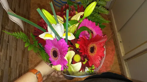 Floristeria Guimaguada by Carmen Trujillo - Telde