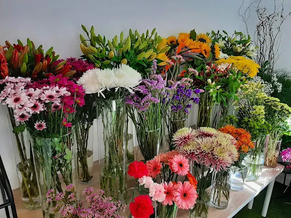 Floristería Erbania