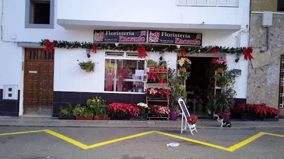 Floristeria encanto