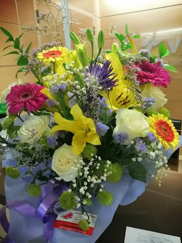 Floristería Olga