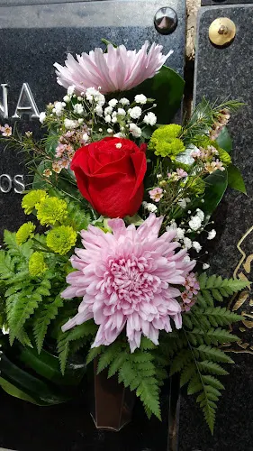 Floristeria Los Cactus