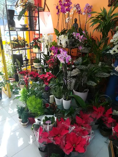 Floristería Mármol Flor