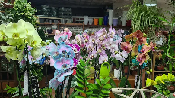 Floristeria Las Gardenias