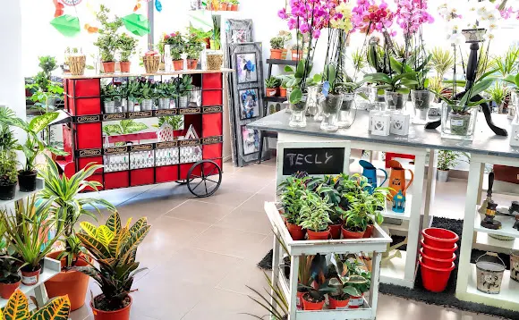 Floristería Tecly - Astorga