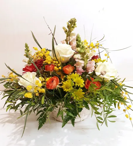 Floristería Soraya - Villarejo de Orbigo