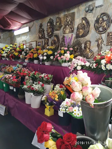 Floristería Madrid - León