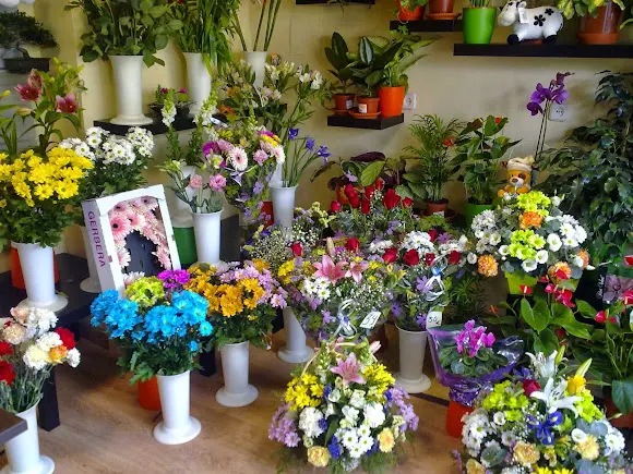 Floristería El Edén