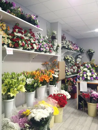 Floristería Musgo - León