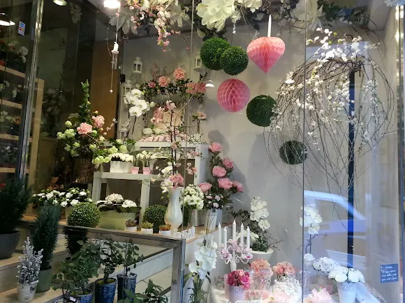 Mamen Sabadell Floristas - León