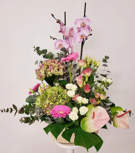 Floristería Trébol