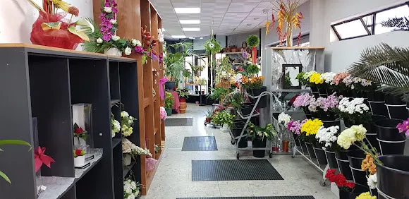 Florería y Floristería | Serviflor24horas