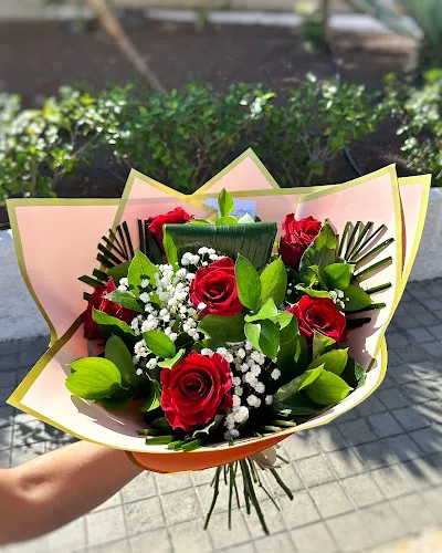 La Flor De Ansís