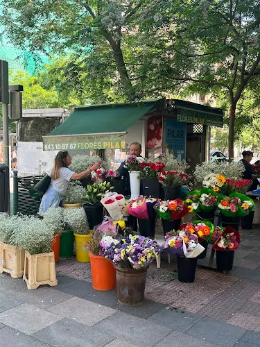 Flores Pilar