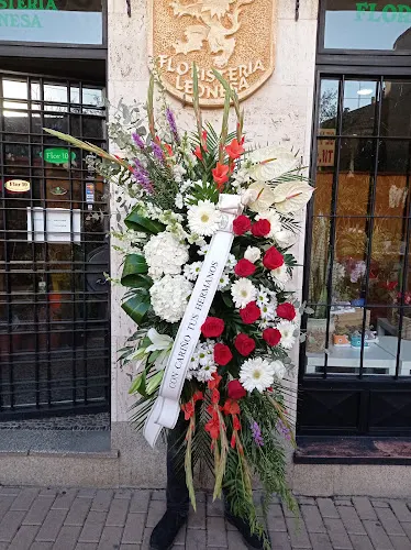Floristería Leonesa - León