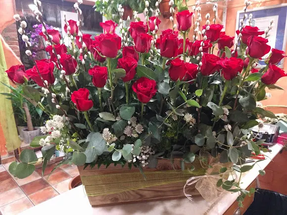 Floristería Marina - Medina de Rioseco