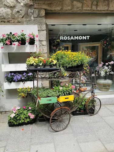 FLORES ROSAMONT - LA SEU D'URGELL