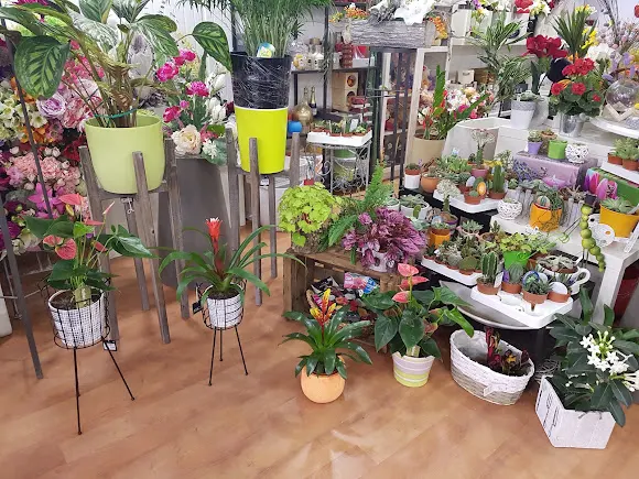 Floristeria L‘Orquídea