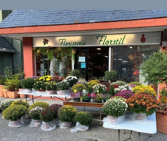 FlorStil - Floristería en Vielha e Mijaran
