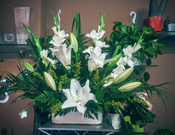 Floristeria Alguaire: Flors i Plantes Adelina - Alguaire
