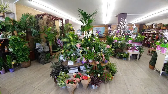 Flaires Disseny Floral