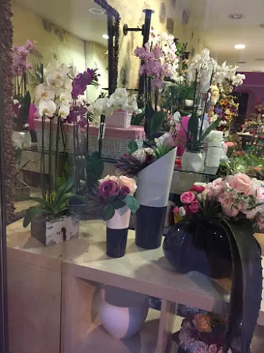 Floristeria Arrels - Guissona