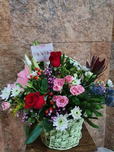 Haydée Floristas - Vilalba