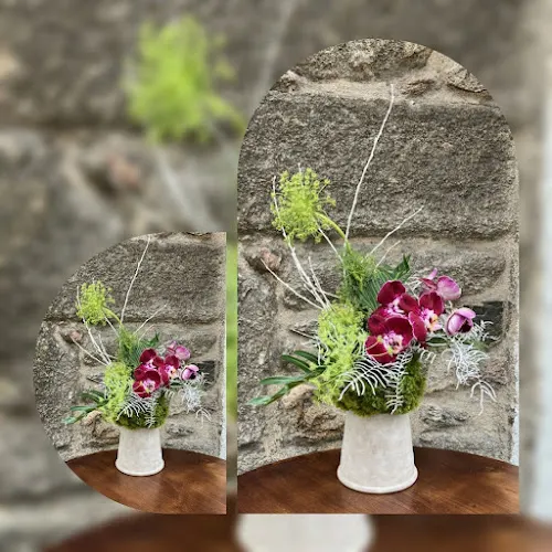 Floristería LuaSFlor