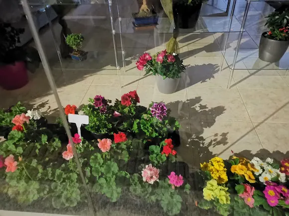 Floristería Sarriplant
