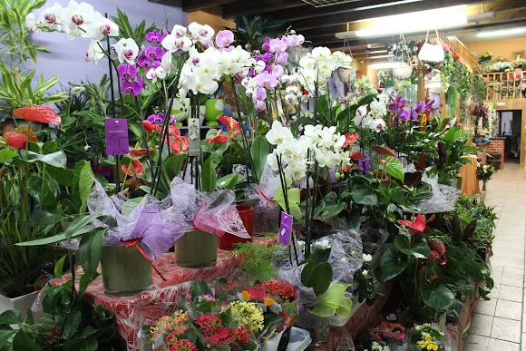 Allium Floristería - Lugo