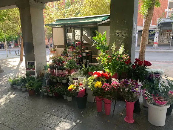 Flores Carmen