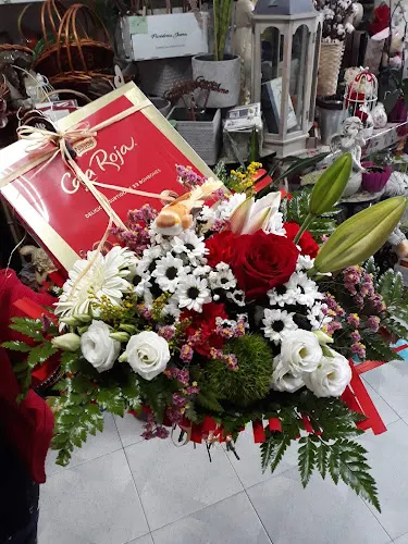 Floristería Jesma - Meira