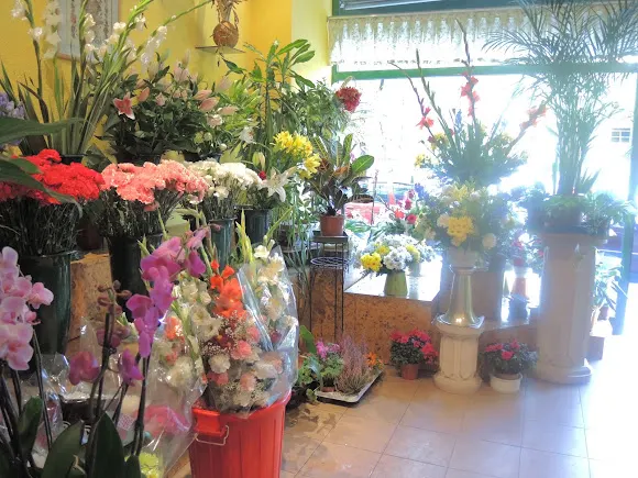 Flores Elvira