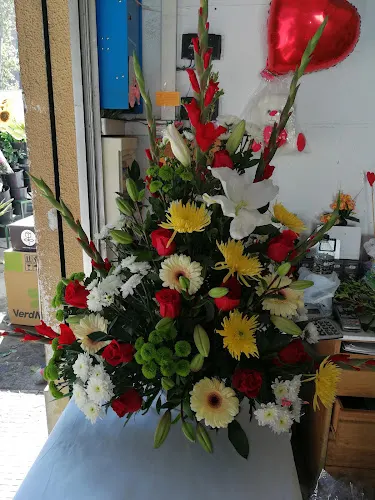 Floristeria Hnos Sanchez (Flores Nala)