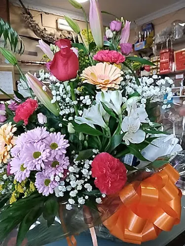 Decano Floristas - Fuenlabrada