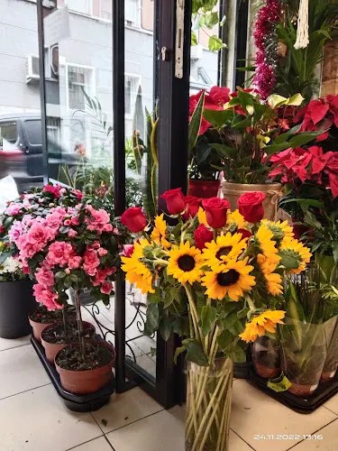 Flores y Plantas Moreno
