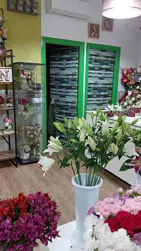 Floristería Géminis