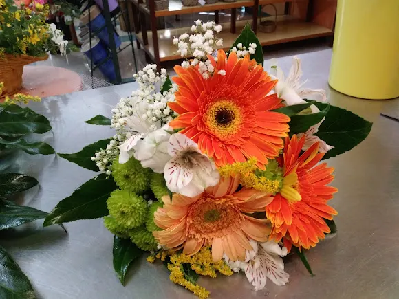 Floristería Marisierra