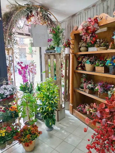 Zarabanda Floristería
