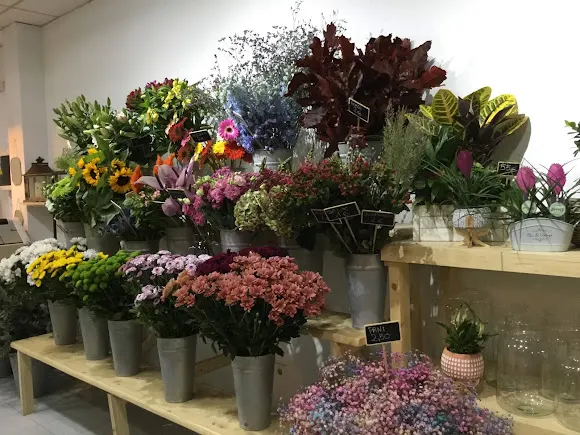 Floristería Floraliën - Floralien
